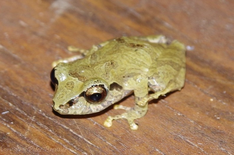 12_IGP0029.jpg
