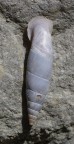 kroatien 17